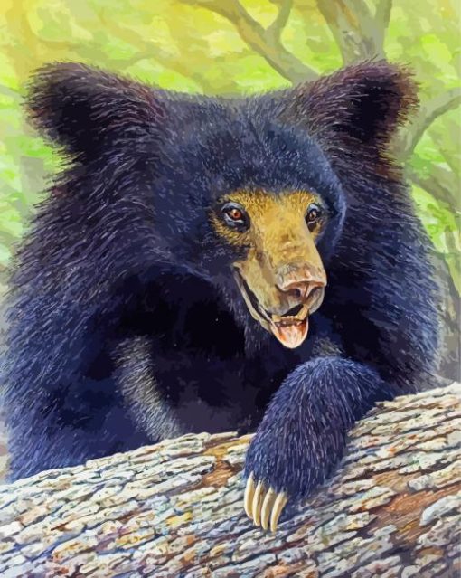 Sloth Bear Art paint by number