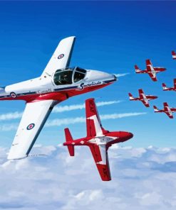 Snowbirds Planes paint by number