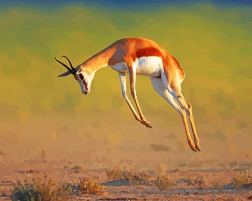 Springbok Jumping paint by number