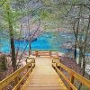 TN State Park Landscape paint by number