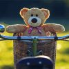 Teddy Bear On Bike paint by number