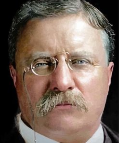 Teddy Roosevelt paint by number