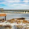 Tybee Island Marine Science Center Landscape paint by number