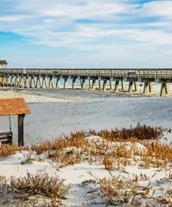 Tybee Island Marine Science Center Landscape paint by number