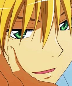 Usui Maid Sama Character paint by number