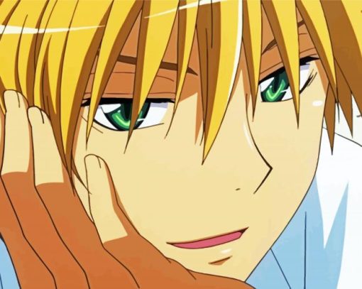 Usui Maid Sama Character paint by number