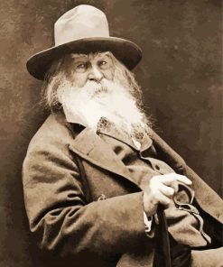 Walt Whitman American Poet paint by number