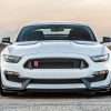 White Ford Shelby GT350R paint by number