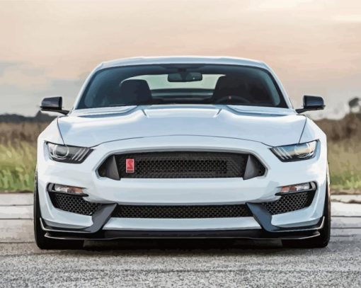 White Ford Shelby GT350R paint by number