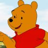 Winnie The Pooh With Yogi Character paint by number