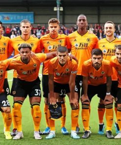 Wolverhampton Wanderers Football Club Team paint by number