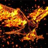 Abstract Burning Eagle Fire paint by number