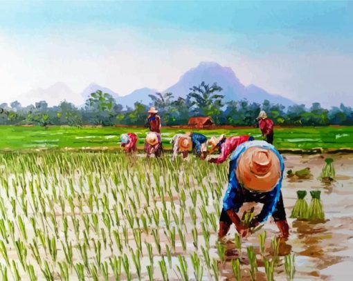 Aesthetic Rice Field paint by number