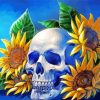 Aesthetic Skull Sunflower paint by number