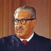 American Lawyer Thurgood Marshall paint by number