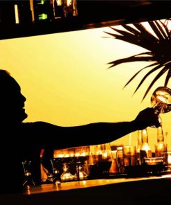 Barman Silhouette paint by number