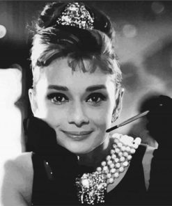 Black And White Breakfast At Tiffanys paint by number