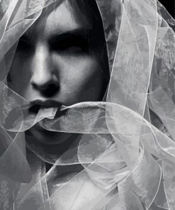 Black And White Woman Veil paint by number