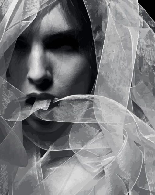 Black And White Woman Veil paint by number