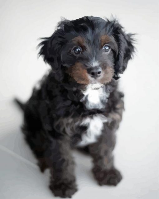 Black Cavoodle Puppy paint by number