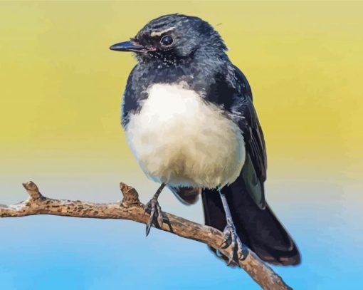 Black Willy Wagtail paint by number