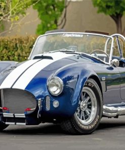 Blue Ford Shelby Cobra paint by number