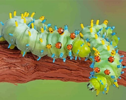 Caterpillar Insect paint by number