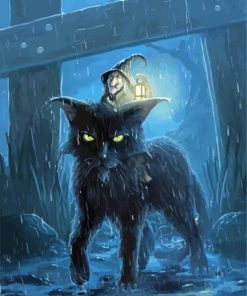 Crone On Fantasy Cat paint by number