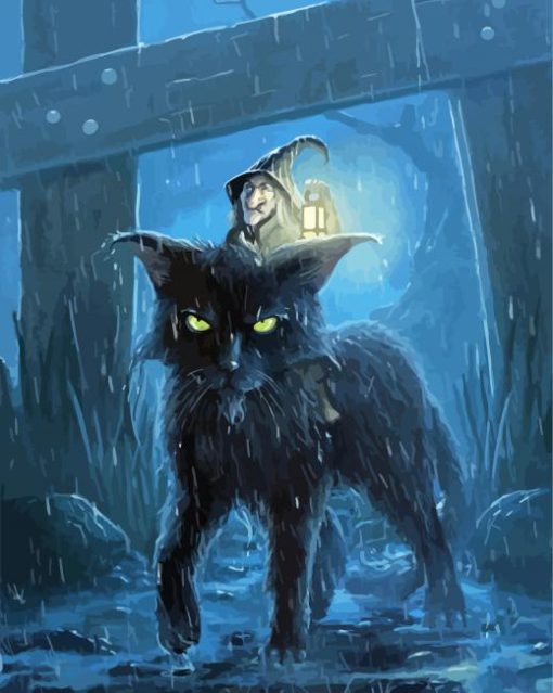 Crone On Fantasy Cat paint by number