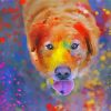 Cute Dog Splatter paint by number