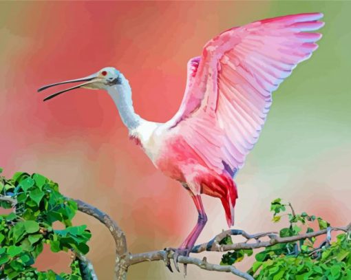 Cute Roseau Spoonbill paint by number