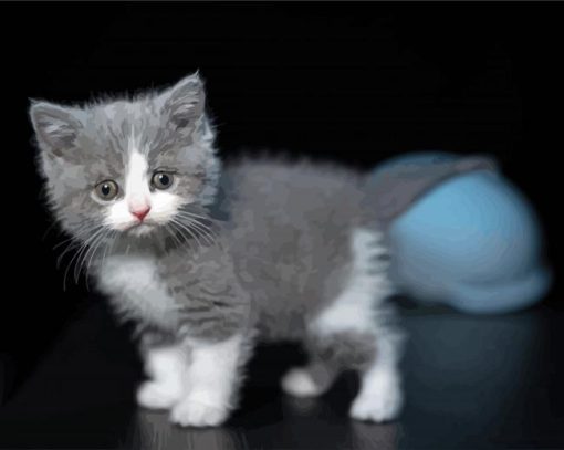 Cute Grey White Cat paint by number