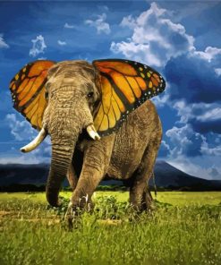 Elephant And Butterfly paint by number