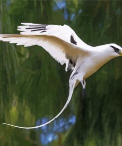 Flying Tropic Sea Bird paint by number