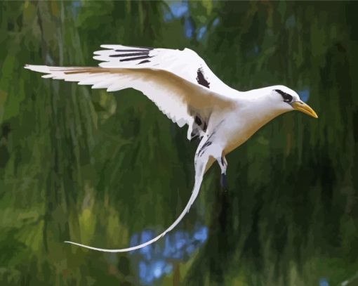 Flying Tropic Sea Bird paint by number