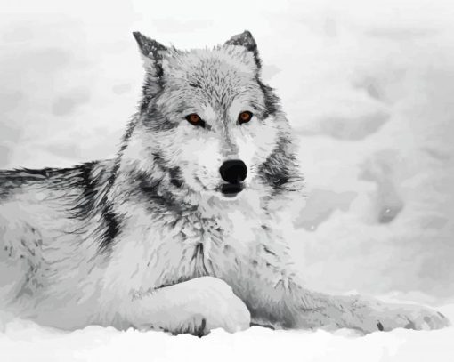 Grey Wolf In Snow paint by number