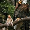 kid In Forest With Eagle paint by number