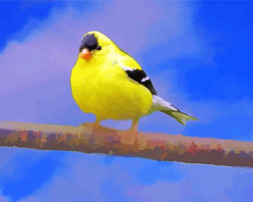 Lonely Yellow Finch paint by number