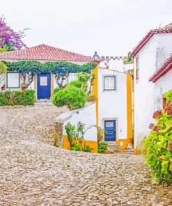 Obidos Houses paint by number