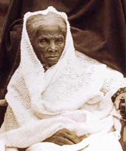 Old Harriet Tubman paint by number