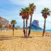 Palm Trees In Costa Blanca Beach paint by number