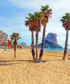 Palm Trees In Costa Blanca Beach paint by number