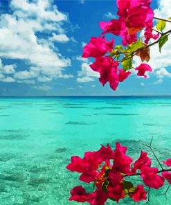 Pink Flowers On Beach paint by number