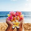 Pink And Yellow Flowers On Beach paint by number