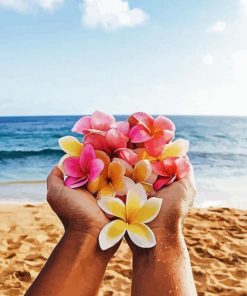 Pink And Yellow Flowers On Beach paint by number