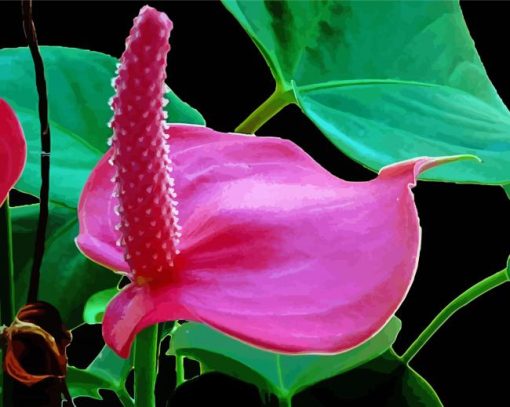 Pink Flamingo Flower paint by number