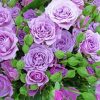 Purple Lilac Rose paint by number