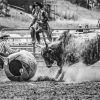 Rodeo Clowns And Bull paint by number