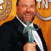 The American Actor James Gandolfini paint by number