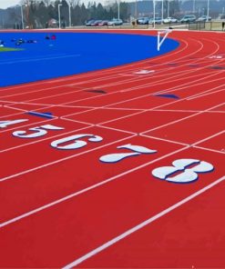 Track And Field Sport paint by number